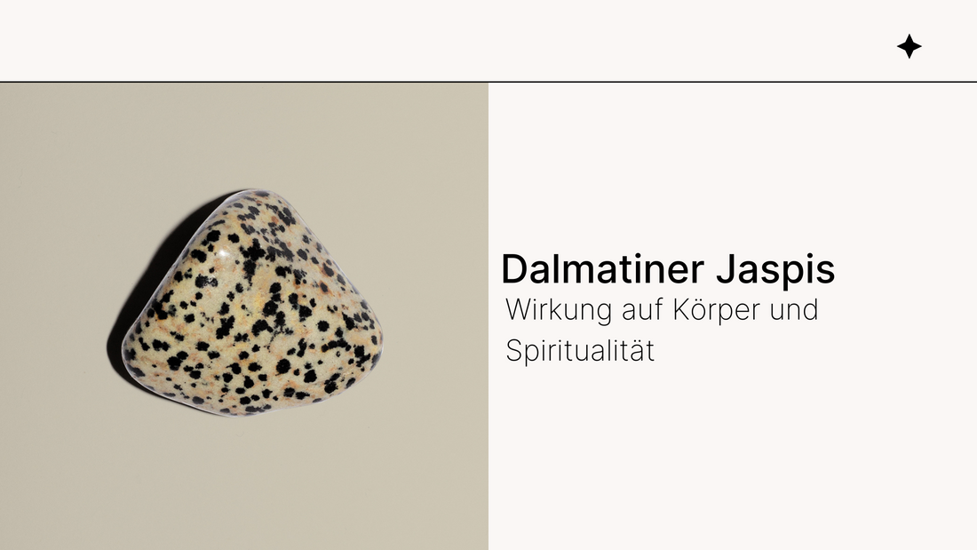 Dalmatiner Jaspis Wirkung auf Körper und Spiritualität