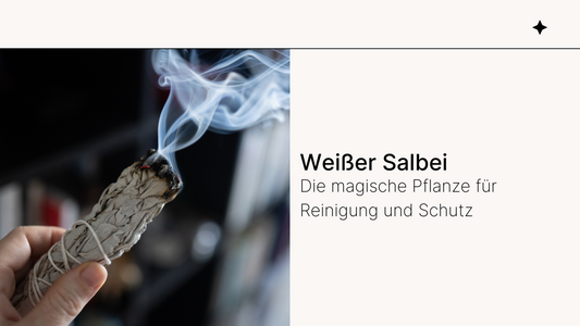 Weißer Salbei – Die magische Pflanze für Reinigung und Schutz